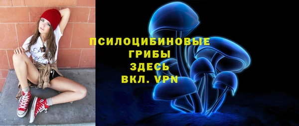 ALPHA PVP Аркадак