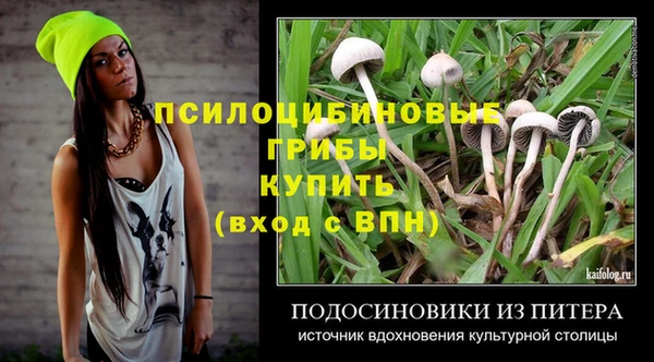 метадон Армянск